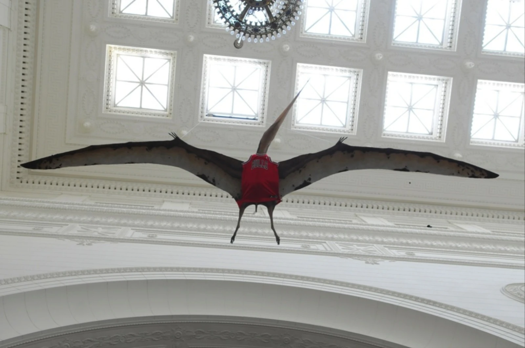 Sculpture of Pteranodon longiceps wearing a Chicago Bulls jersey at the Field Museum of Natural History's Stanley Field Hall. 
