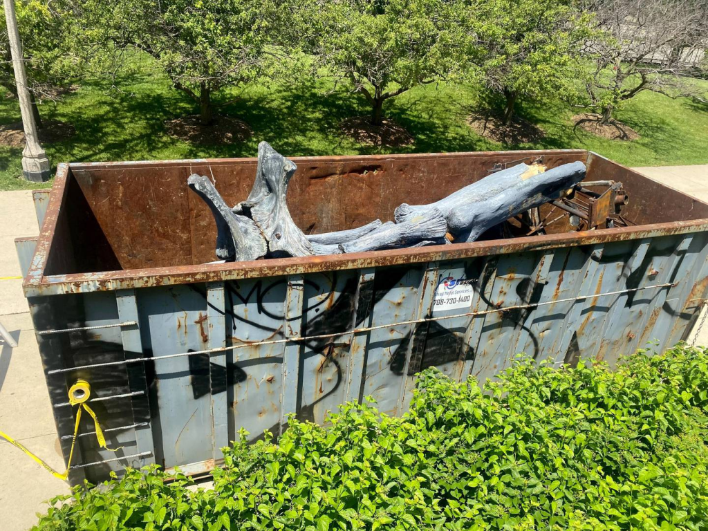 Bones from the Field Museum's Brachiosaurus skeletal cast mount in a dumpster during June 2022. 